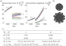 Branching Instability In Expanding Bacterial Colonies