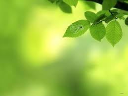 Upload your own photos or choose from over 1 million stock images. 13 Slide Hijau Yang Bagus Dengan Gambar Latar Belakang Yang Elegan Powerpoint Template Free Download