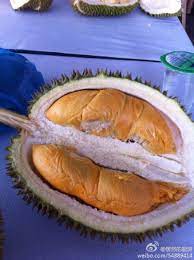 Musang king biji dia kecil, halus okey halus hmm overall saya bagi dia lima bintang. Udang Merah Only Rm 25 Today Musang Durian King Ttdi Facebook