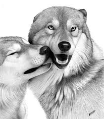 Black And White Animal Drawings Realistic 40 Beautiful And Realistic Animal Sketches For Your Inspiration Realistic Animal Drawings Animal Sketches Dog Drawing