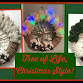 Holiday Tree of Life Wreath Making Workshop! event image