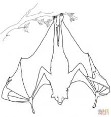Free printable colouring pages for kids. 20 Free Printable Bat Coloring Pages Everfreecoloring Com