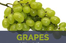 How many calories in grapes? Grapes Facts And Health Benefits