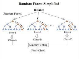 random forest simple explanation will koehrsen medium