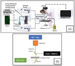 The aerosol detection system combines digital microfluidics technology, aerosol impaction and chemical detection integrated on. Micromachines Free Full Text Optical Detection Methods For High Throughput Fluorescent Droplet Microflow Cytometry Html