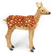 Pin On Animals