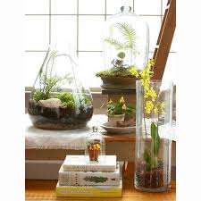 Terrariums Sous Cloche Dans Un Vase Ou Dans Un Bocal Marie Claire Maison Pourchezmoi Mini Jardins Succulentes Interieur Idees Terrariums