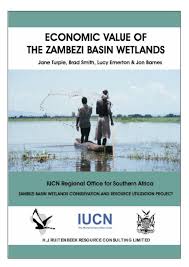 Report to the finance director and take full control of the following areas of responsibility Turpie Et Al 1999 Econval Zambezi Basin Pdf Anchor Environmental