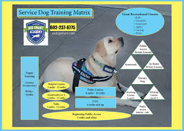 For more than 60 years, the arizona humane society has been committed to saving the most vulnerable animals and enriching the lives of pets and people. Service Dog Training Az Dog Smart Academy