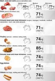 77 prototypical meat temperature cooking chart in celsius