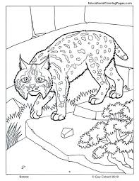 Mammals Book Two Coloring Pages Animal Coloring Pages For Kids Animal Coloring Pages Cat Coloring Page Coloring Pages