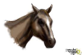 1) draw a rectangle that will define the conditional proportions and boundaries of the chosen drawing. How To Draw A Horse Head Drawingnow
