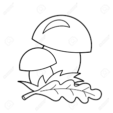 Mushroom, leaves, umbrella, rubber boots, scarf and pumpkin; Coloring Page Outline Of Cartoon Mushrooms Summer Gifts Of Nature Royalty Free Cliparts Vectors And Stock Illustration Image 67804677