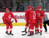 Junioren får chansen efter succén. Elmer Soderblom Multimedia Detroithockey Net