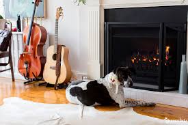 Felicia and Drew's Relaxed Wedding at Home in Sydney