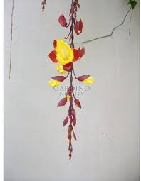 Image result for Thunbergia mysorensis