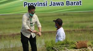 Yb datuk aaron ago dagang. Menteri Pertanian Jamin Stok Pangan Aman Hingga Akhir Tahun Bisnis Tempo Co