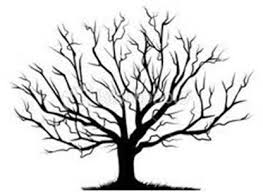 Image Result For Printable Pyrography Tree Patterns Tree Drawing Bare Tree Tree Art