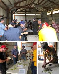 2019 wheat season and trials. 2019 Quarter 3 Newsletter Integrated Pest Management Washington State University