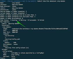 Deploy X Ray Daemonset Amazon Eks Workshop