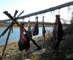 Foods may affect tribal cultures and traditional ways of life. Tribal Nations U S Climate Resilience Toolkit