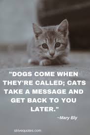 Top 25 best funny animal pics quotes #humor. Pin On Everything Pets