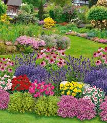 Ob artikel, blogbeiträge oder einfach nur inspiration. Mein Schoner Garten Duftendes Staudenbeet Baldur Garten