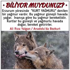biliyor muydunuz biliyor muydunuz adlar yagmur