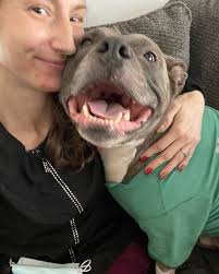 Holly Got a heart today! 💚💖🤍 Duke, Holly, Stacey 🐩🐩🐩 We had some much  fun with these three today! Getting ready for the summer months ahead these  pups are ready to relax