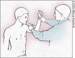 We did not find results for: The Painful Shoulder Part I Clinical Evaluation American Family Physician