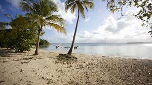 Information of cases and statistics of guadeloupe by date. Pvshz7xknny8om