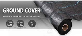 We did not find results for: Pp Ground Cover Net Mulch Film Woven Ground Cover Sheet Supplier
