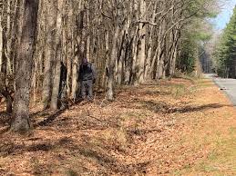 Foul play suspected after body found in ditch in Greensville County