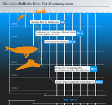 Marianengraben ist ein abwechslungsreicher, unvorhersehbarer roadtrip mit knuffigen wendungen und traumhaften kulissen. Eurythenes Plasticus Ein Tiefsee Flohkrebs Voller Plastik Wissen Umwelt Dw 06 03 2020