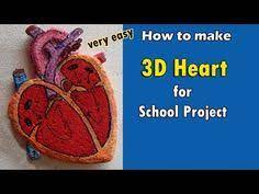 Fensterbilder für den herbst zu basteln ist eine kreative freizeitbeschäftigung für kinder. 16 Herzmodell Ideen Herz Kreislauf System Wissenschaftsaktivitaten Kreislaufsystem