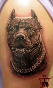 Pin On Pitbull Tattoos