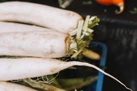 Sup lobak putih berfungsi untuk membersihkan buah pinggang. Cit Ugw4tc Mim