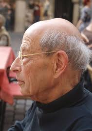 Professor *** Radt's Other Book Collection | Gauronica ...