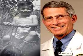 Fauci, a pharmacist, and eugenia a. Dr Anthony Fauci Childhood Story Plus Untold Biography Facts