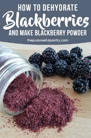How To Dehydrate Blackberries Make Blackberry Powder Dehydrator Recipes Dehydrator Dehydrated Fruit
