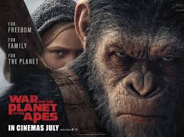 Portrayed, is a pair of hyacinth macaws, the gentle giants of the macaw species. War For The Planet Of The Apes Review Spoiler Free Attack On Geek