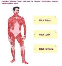 Daring juga menyatakan kondisi pada suatu alat perlengkapan atau suatu unit fungsional. Kunci Jawaban Buku Tematik Kelas 5 Sd Tema 1 Halaman 104 Sampai Dengan Halaman 121 Tribun Solo