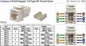 What about a picture of the keystone with no wire in it? Cat 6 Keystone Jack Wiring Diagram Painless 60101 Tbi Wiring Diagram Audi A3 Tukune Jeanjaures37 Fr