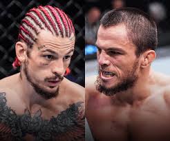 Nakakainis na si Merab ang champion eh ito yung laban na magiging  pinaka-astig na division sana ang bantamweight!!! : r/ufc