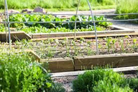 If you are living in an apartment or even a house with a tiny backyard, you may think that this isn't possible. What Is A Community Garden Benefits How To Start Your Own