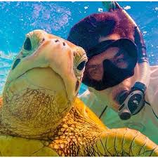 Gopro Selfie Of The Day Underwater Photos Gopro Photo