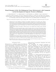 Image result for Mitrasacmopsis