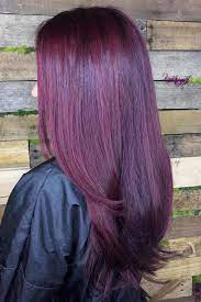 Plum Hair Color Ideas For Jaw Dropping Makeovers Lovehairstyles Com In 2021 Plum Hair Hair Color Plum Wine Hair Color