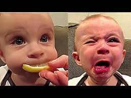 Try Not To Laugh Challenge Funny Kids Vines Compilation 2016 Funniest Kids Funny Kid Fails Funny Videos For Kids Funny Kids
