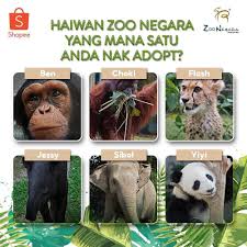 Animal zoo game for kids for android apk download. Menderma Ke Zoo Negara Melalui Program Haiwan Angkat Dalam Talian Soyacincau Com